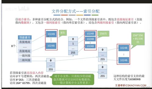文件的物理結(jié)構(gòu) 數(shù)據(jù)處理與存儲支持服務(wù)的基石