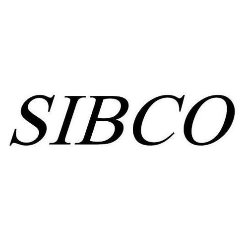 上海國際企業商務咨詢服務有限公司